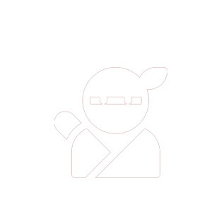 Ninja Birthday Parties